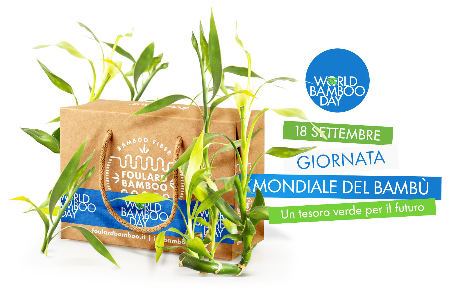 Giornata Mondiale del Bambù: un tesoro verde per il futuro