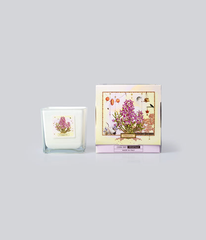 Aromatic Candle Giappone
