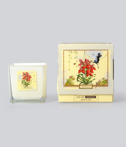 Aromatic Candle Southafrica