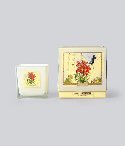 Aromatic Candle Sudafrica