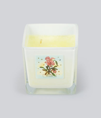 Aromatic Candle Brazil