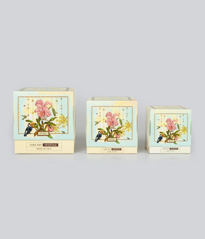 Aromatic Candle Brasile