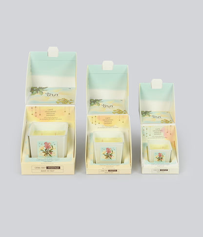 Aromatic Candle Brasile