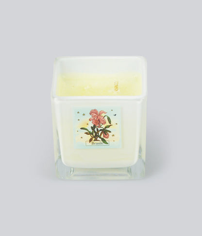 Aromatic Candle Brasile