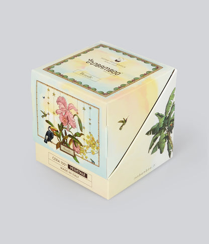 Aromatic Candle Brasile