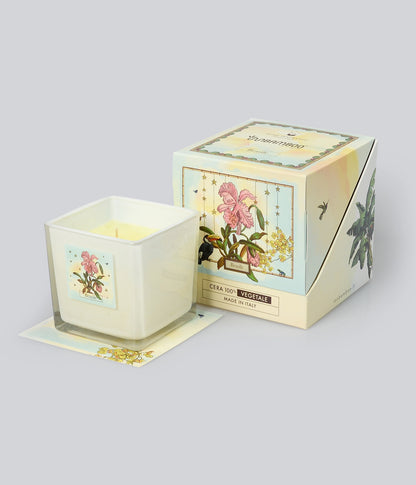 Aromatic Candle Brasile