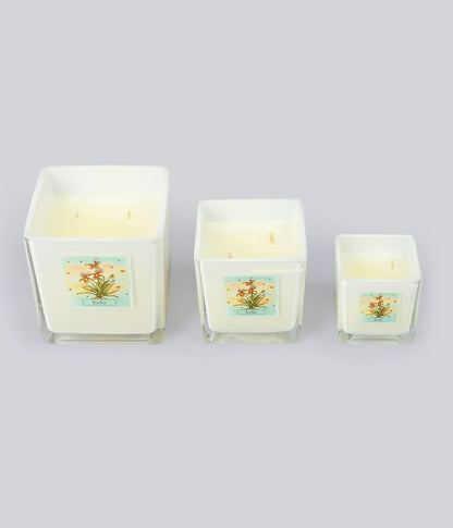 Aromatic Candle India