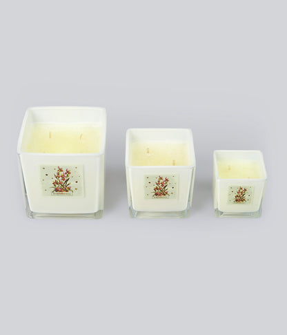 Aromatic Candle Inghilterra