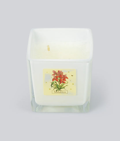 Aromatic Candle Sudafrica