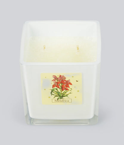 Aromatic Candle Southafrica