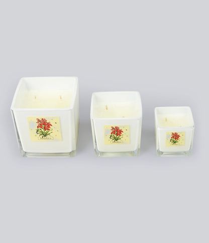 Aromatic Candle Sudafrica