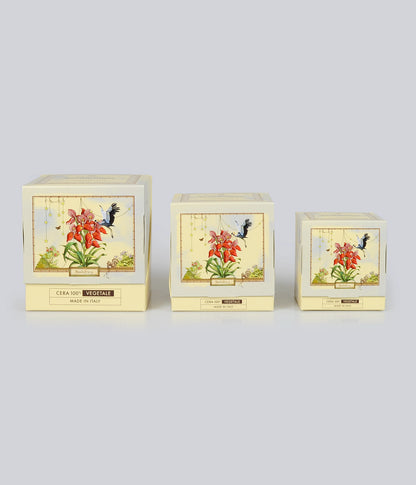 Aromatic Candle Sudafrica