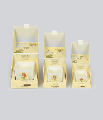Aromatic Candle Sudafrica