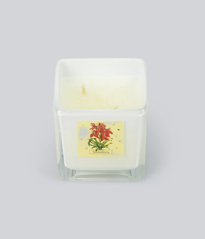 Aromatic Candle Sudafrica