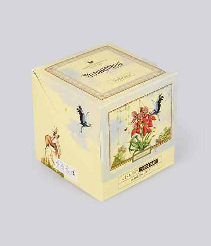 Aromatic Candle Sudafrica