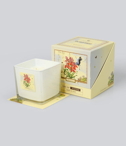 Aromatic Candle Sudafrica
