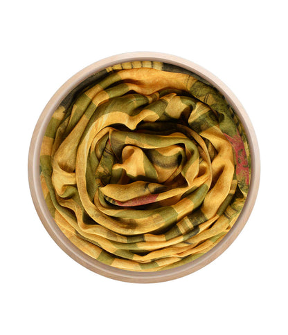 Michelangelo